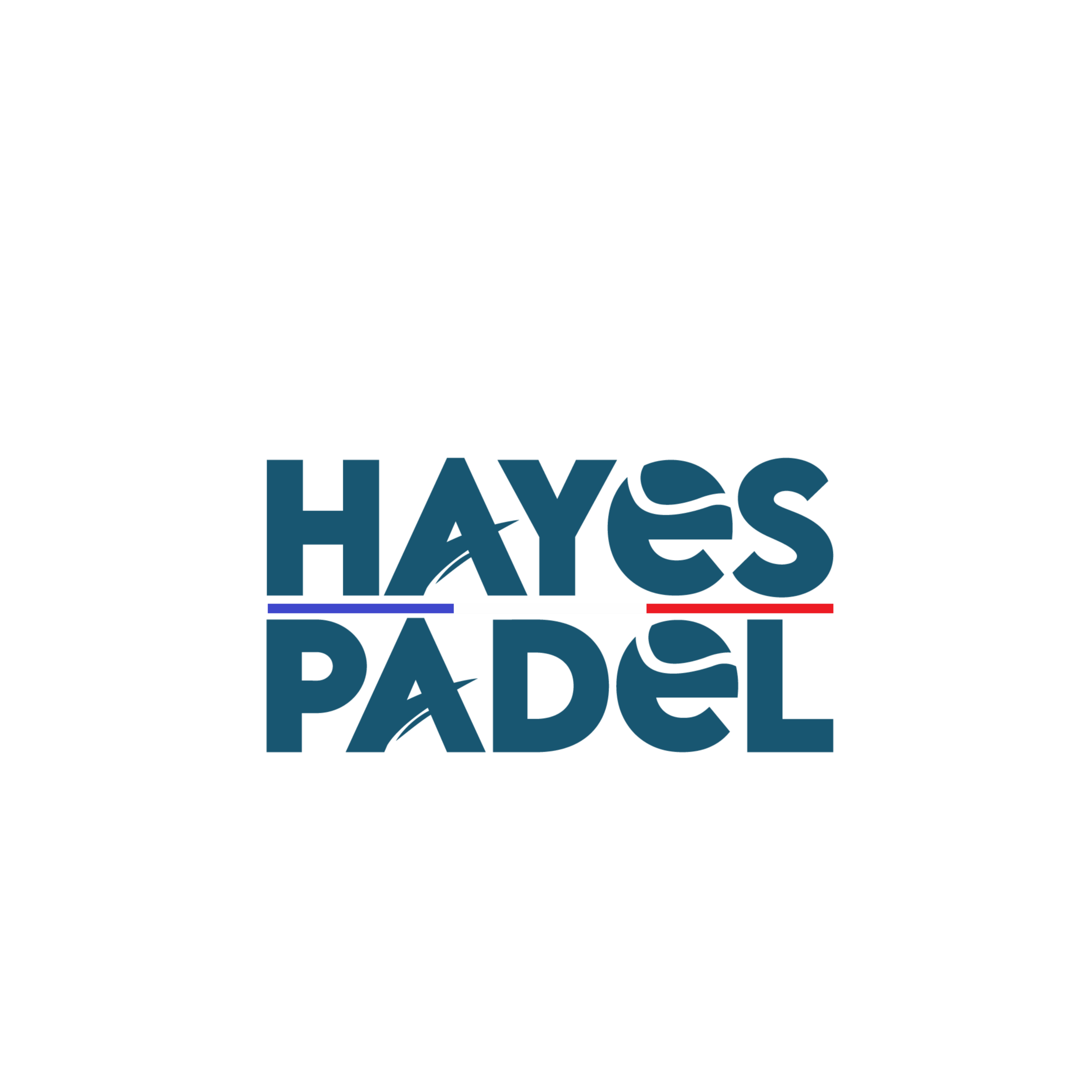 Hayes official logo featuring clean, professional typography and modern brand design elements